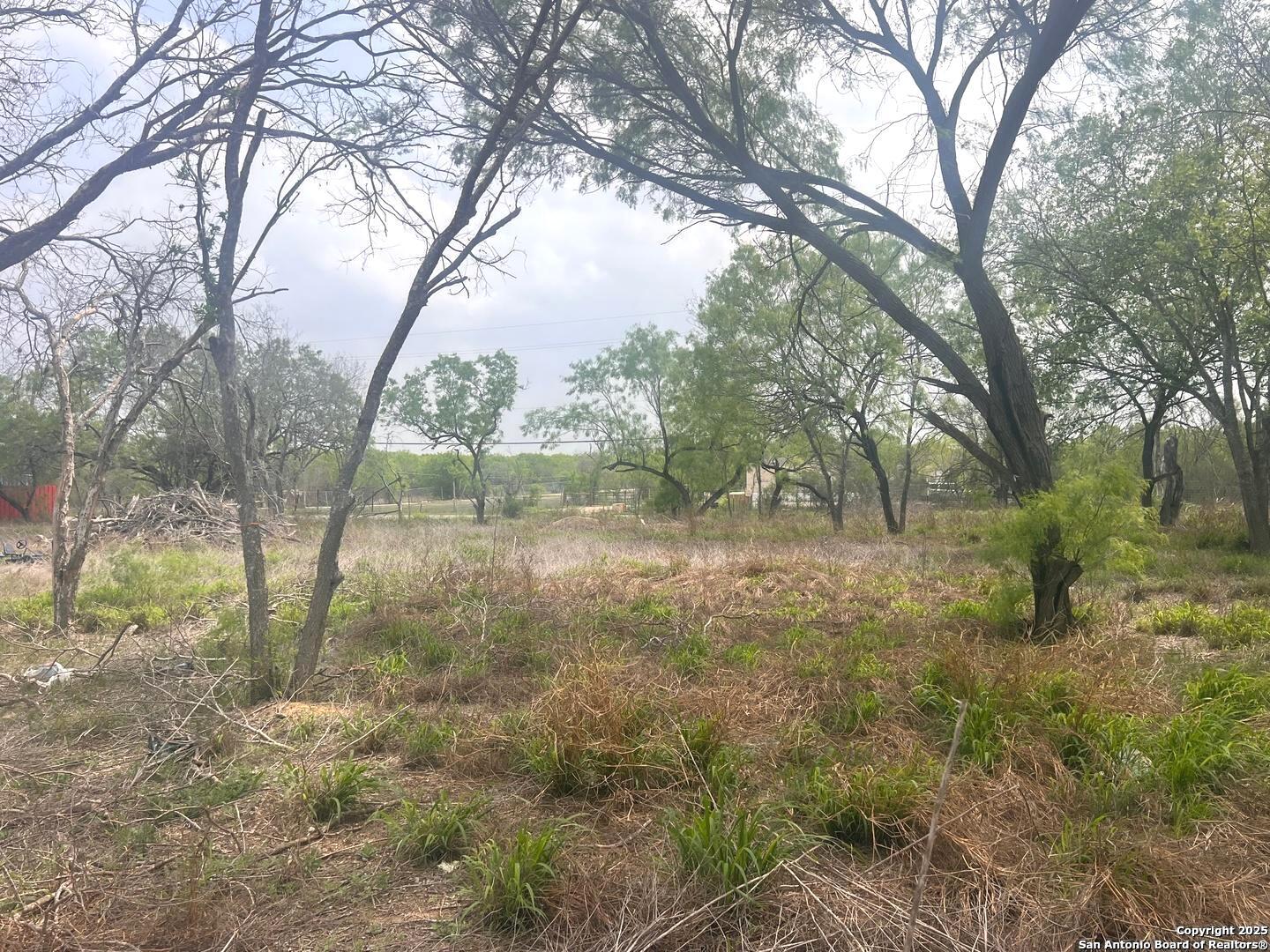 1700 E Chavaneaux San Antonio TX 78214