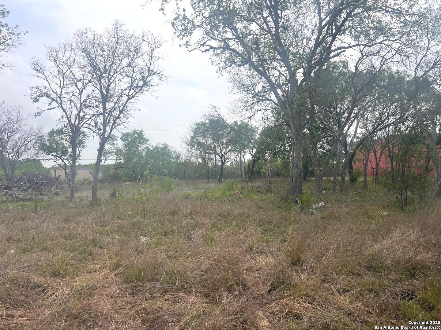 1700 E Chavaneaux San Antonio TX 78214