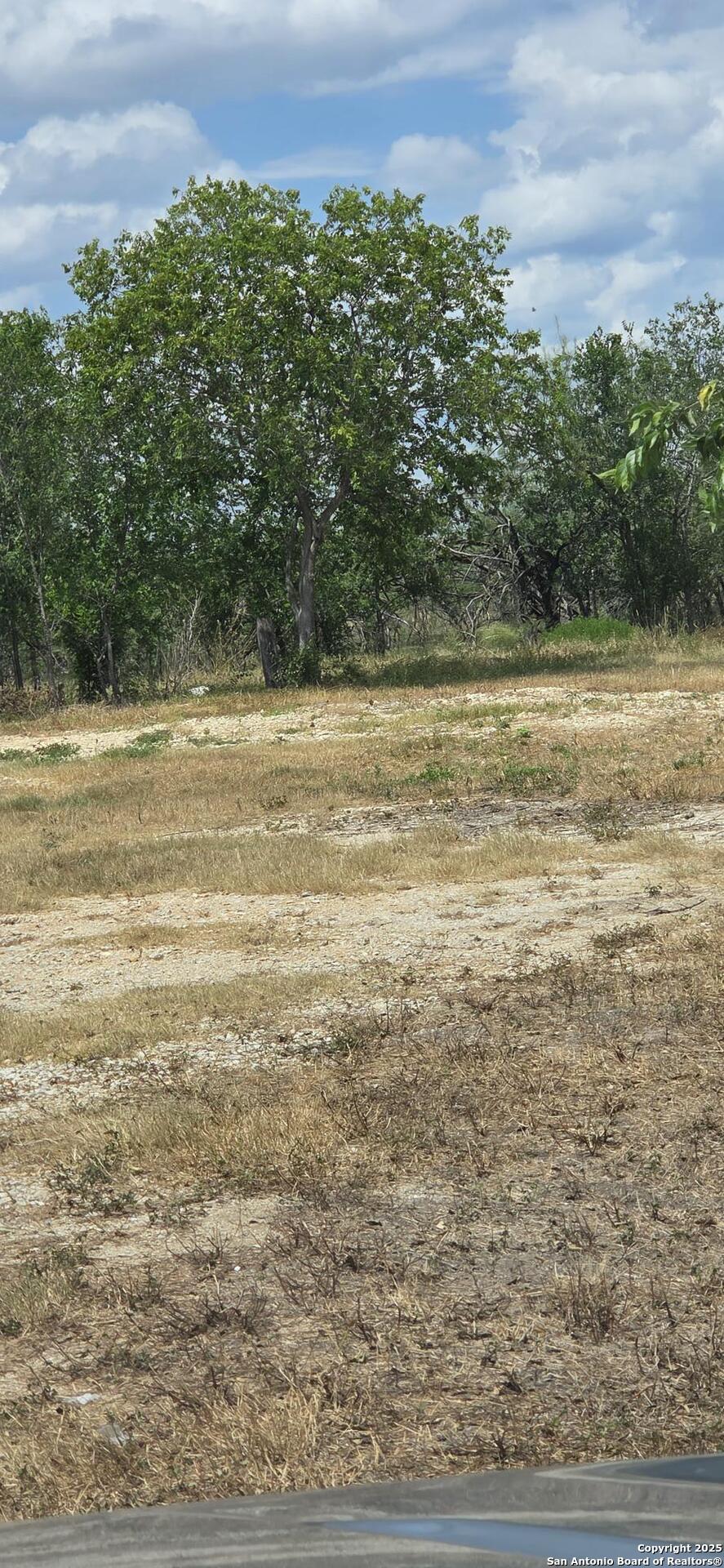 8279 Green Valley Marion TX 78124