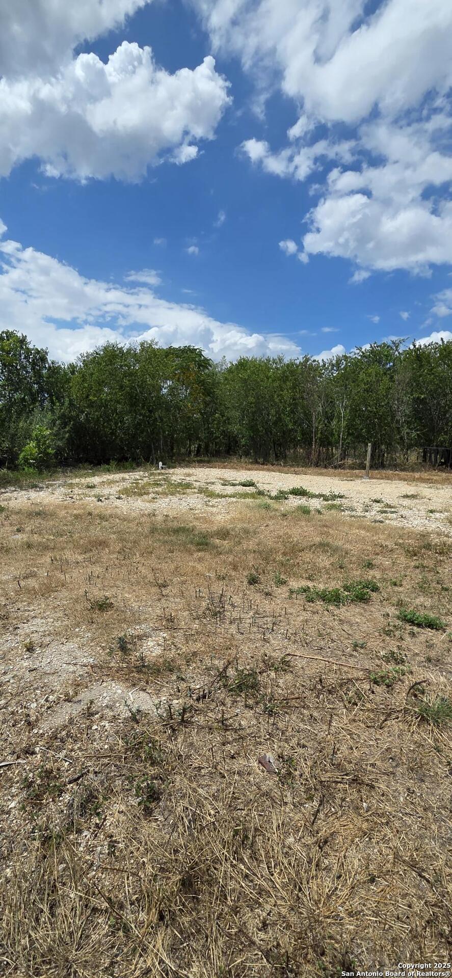 8279 Green Valley Marion TX 78124