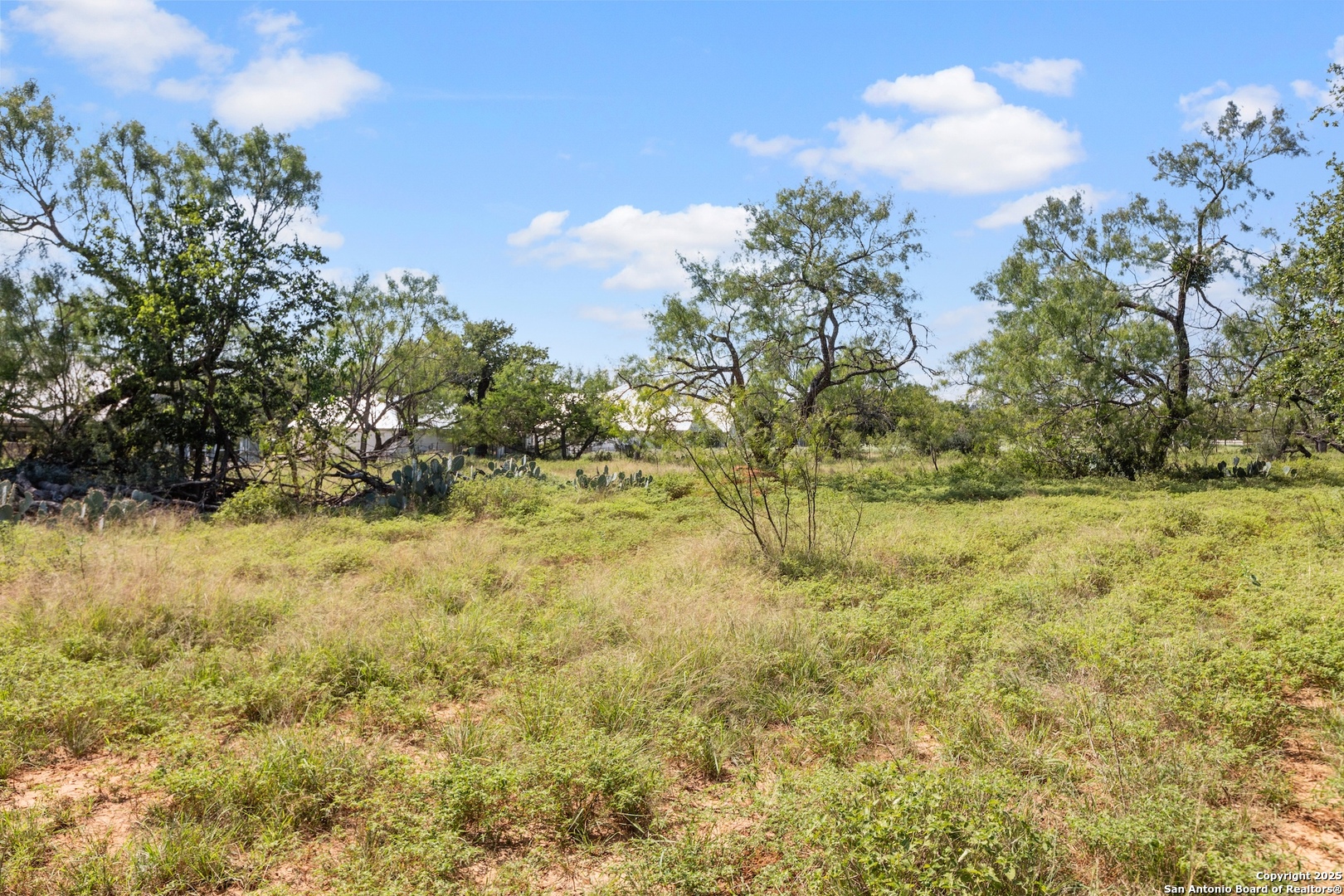 604 Cherry Fredericksburg TX 78624