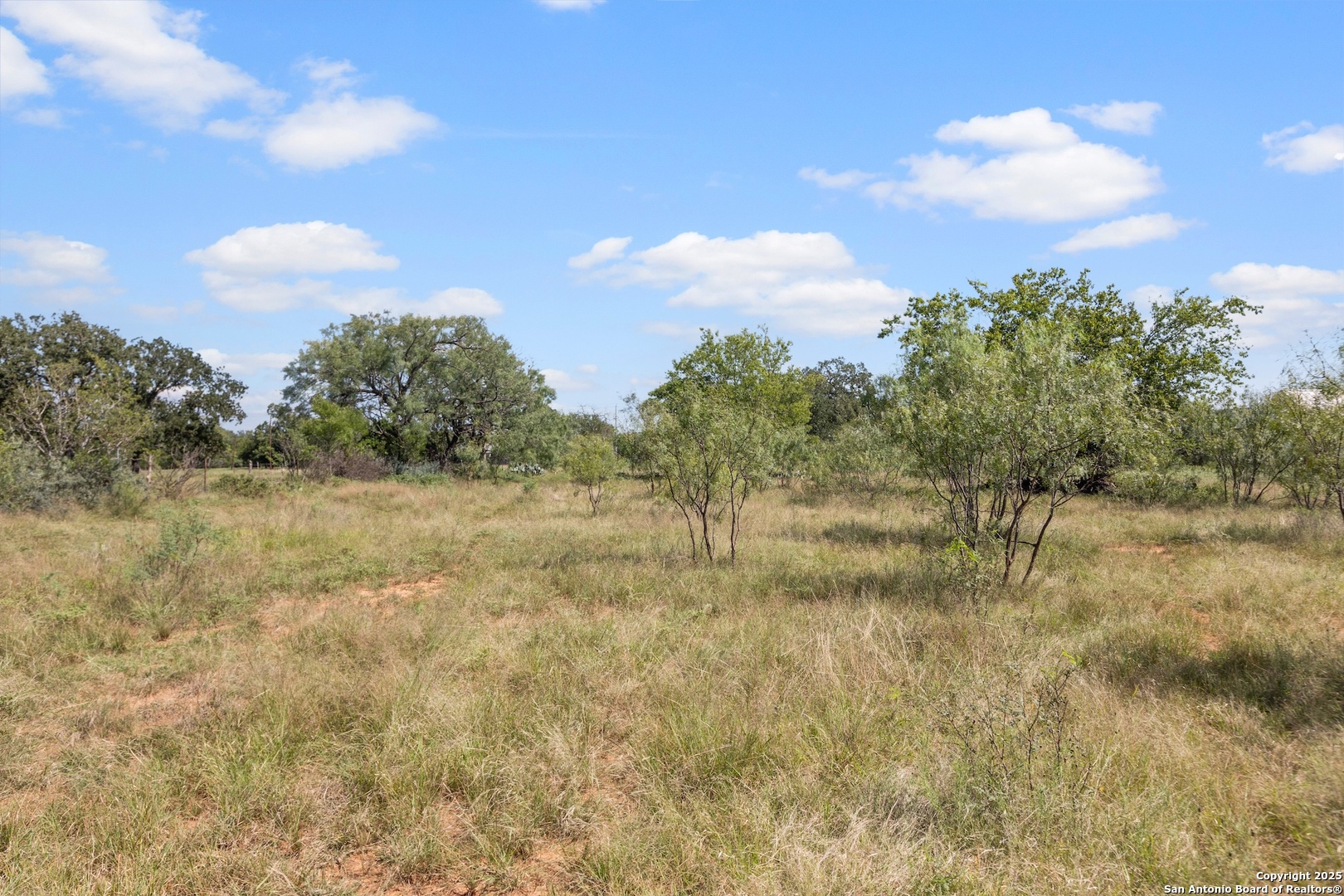 604 Cherry Fredericksburg TX 78624