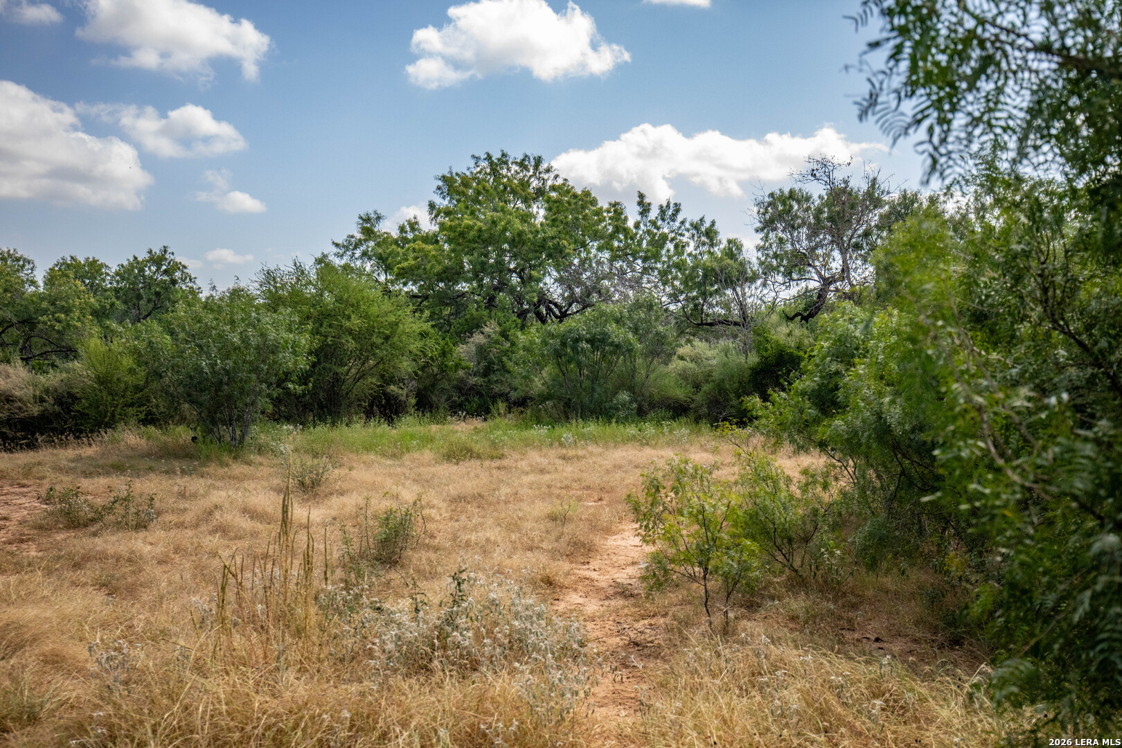 16385 Donop Elmendorf TX 78112