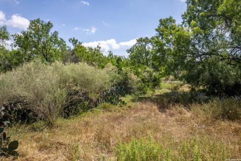 16385 Donop Elmendorf TX 78112