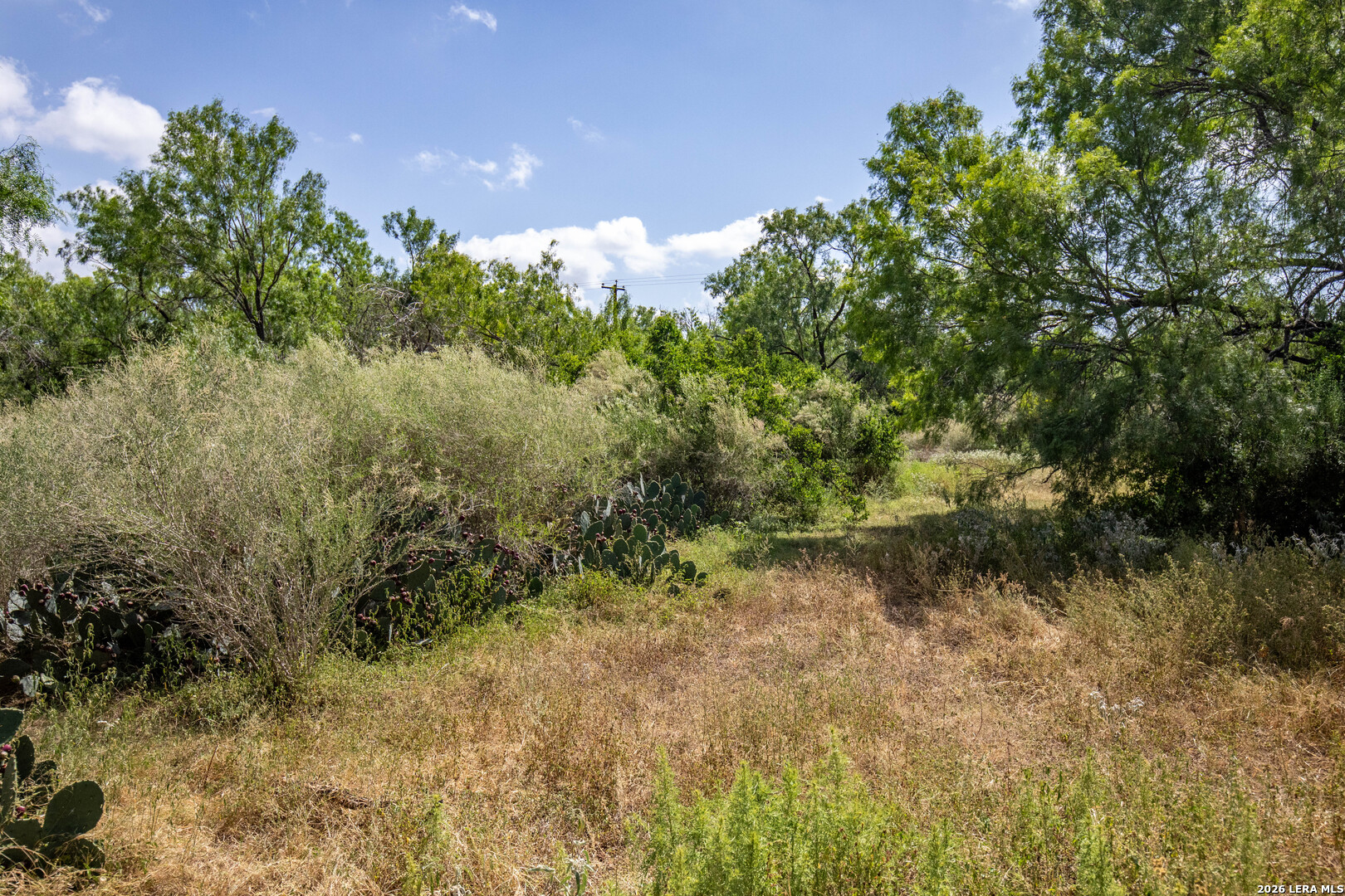 16385 Donop Elmendorf TX 78112