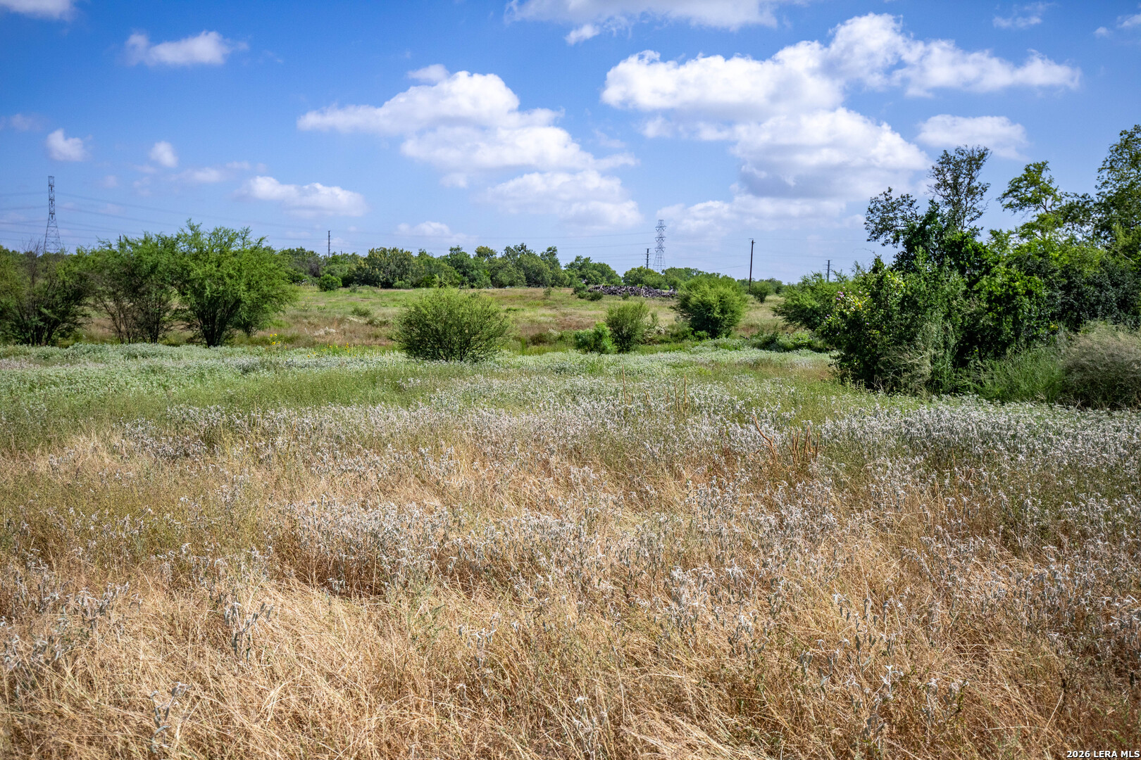 16385 Donop Elmendorf TX 78112