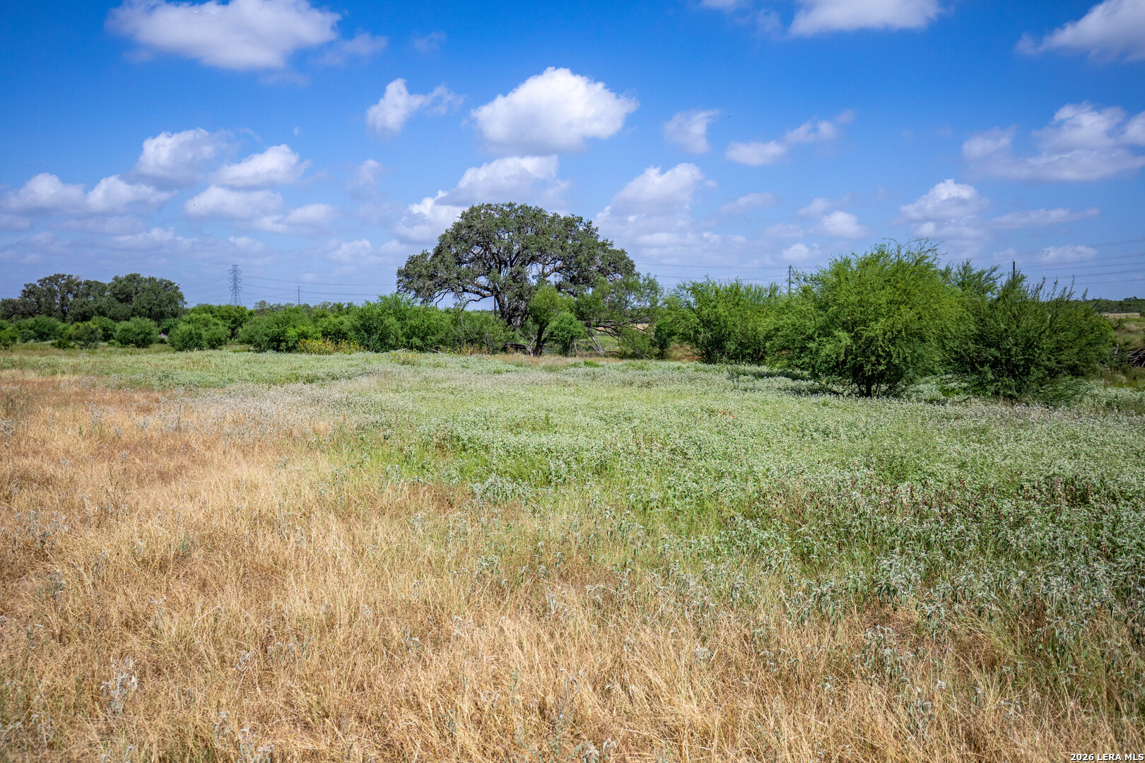 16385 Donop Elmendorf TX 78112