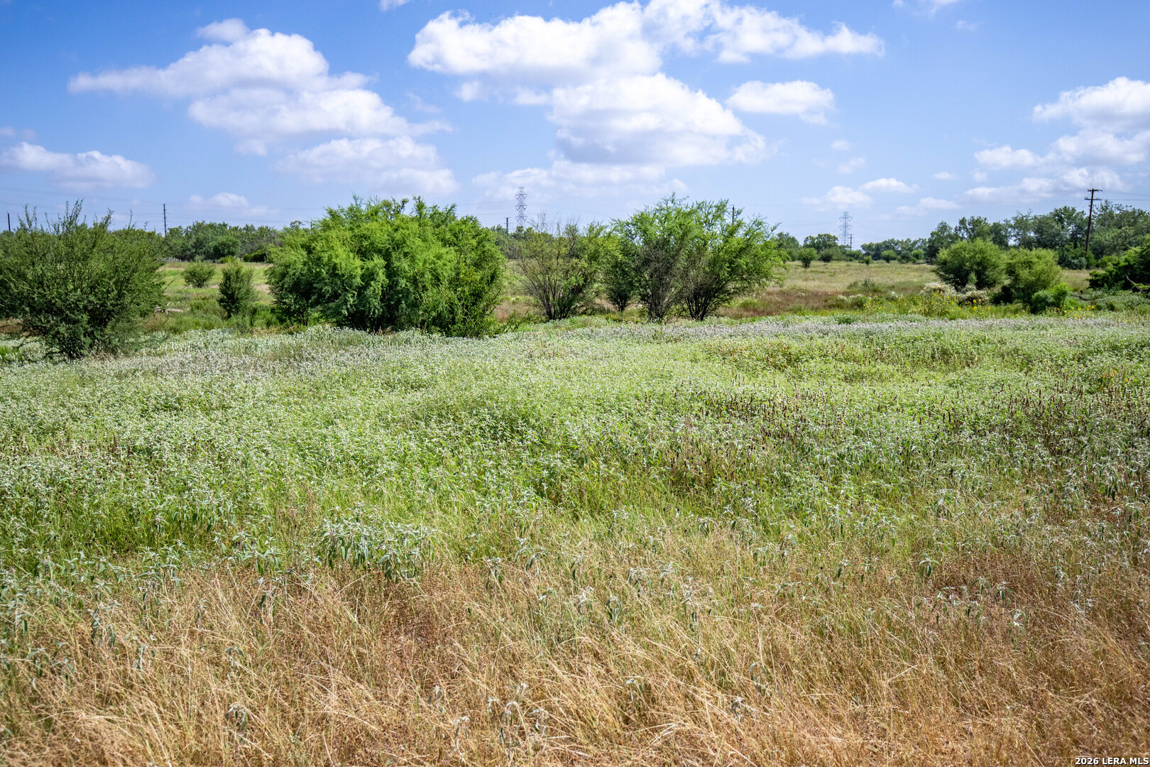 16385 Donop Elmendorf TX 78112