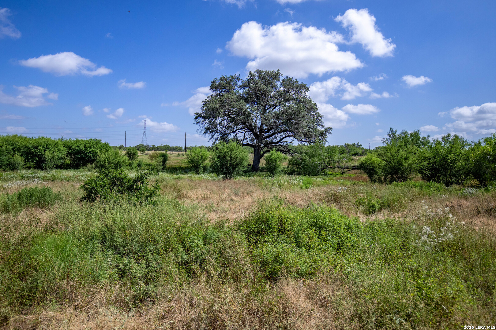 16385 Donop Elmendorf TX 78112