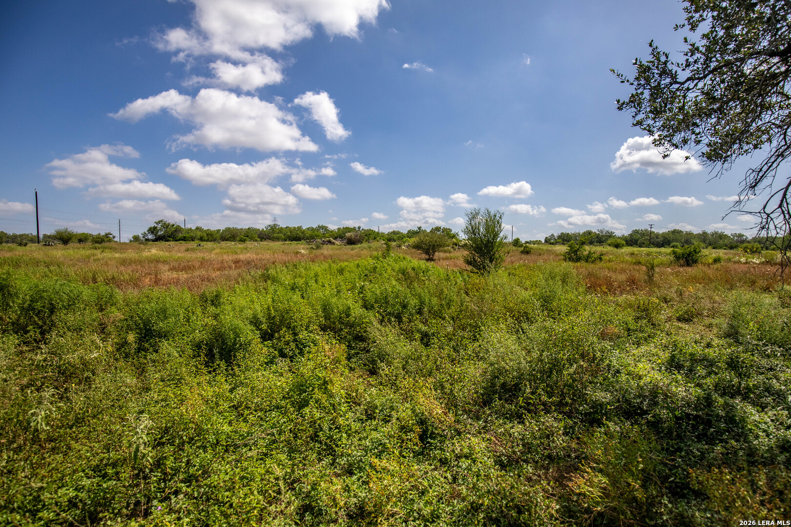 16385 Donop Elmendorf TX 78112