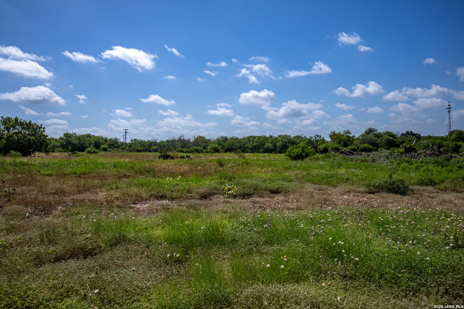16385 Donop Elmendorf TX 78112