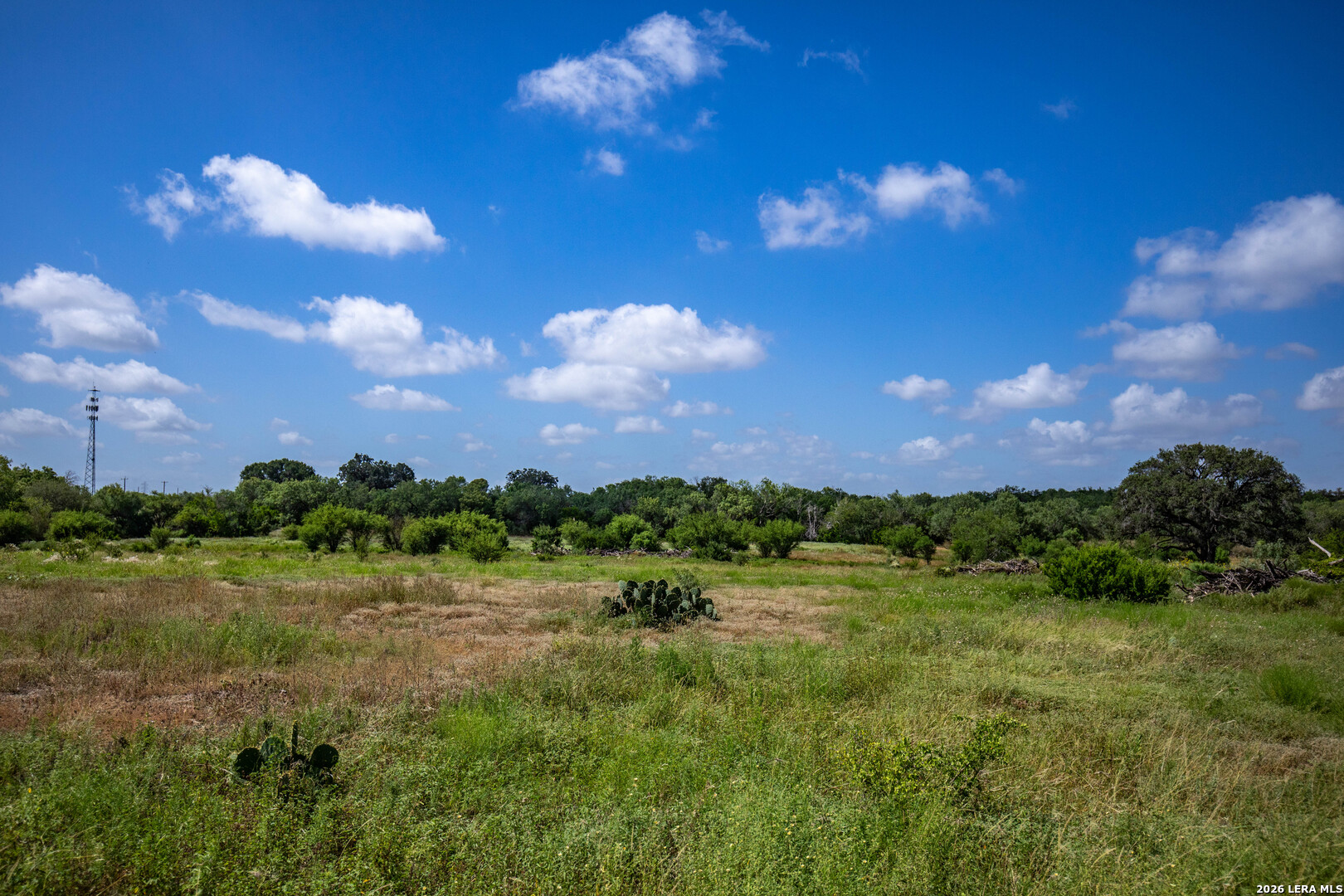 16385 Donop Elmendorf TX 78112
