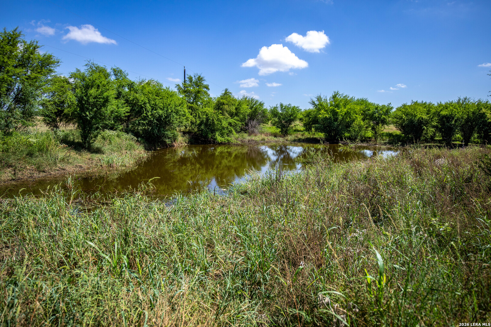 16385 Donop Elmendorf TX 78112