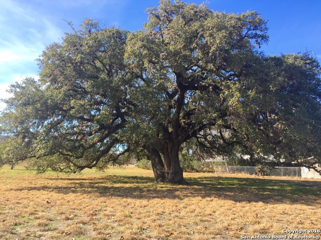 1.54 Ac N Bryant Pleasanton TX 78064