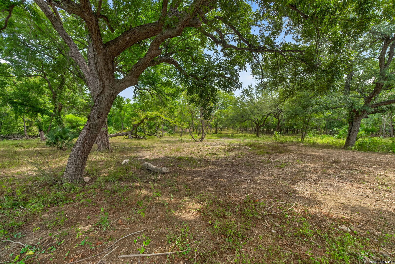 205 Cresthill San Antonio TX 78220