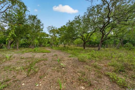 205 Cresthill San Antonio TX 78220