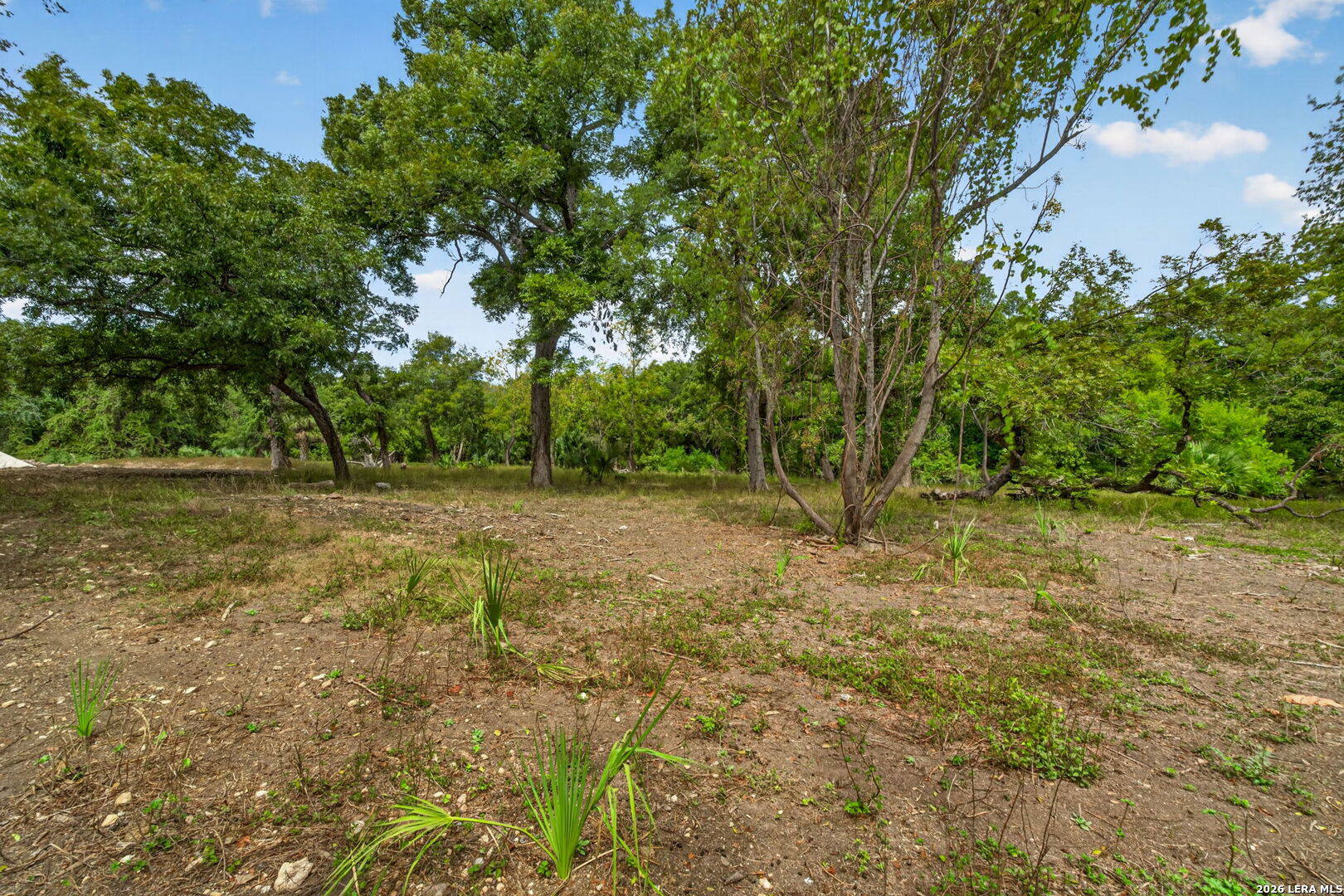 205 Cresthill San Antonio TX 78220