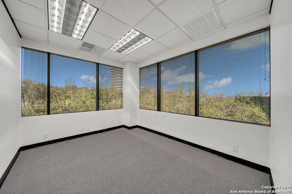 4242 Medical San Antonio TX 78229