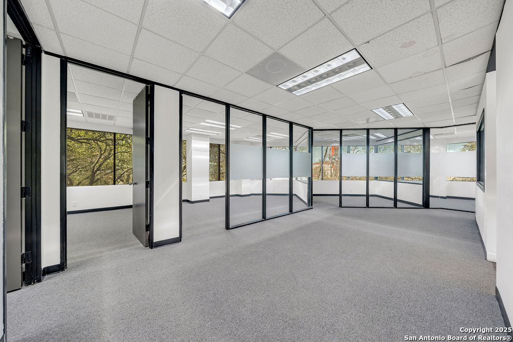 4242 Medical San Antonio TX 78229