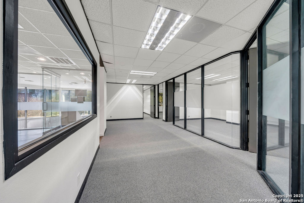 4242 Medical San Antonio TX 78229