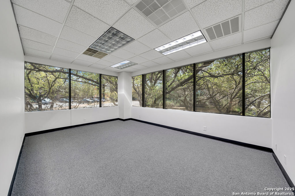 4242 Medical San Antonio TX 78229