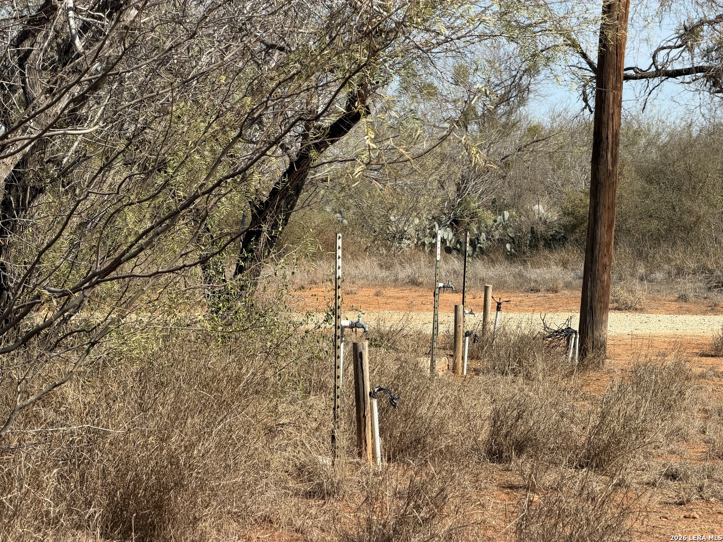 1160 W Highway 85 Dilley TX 78017