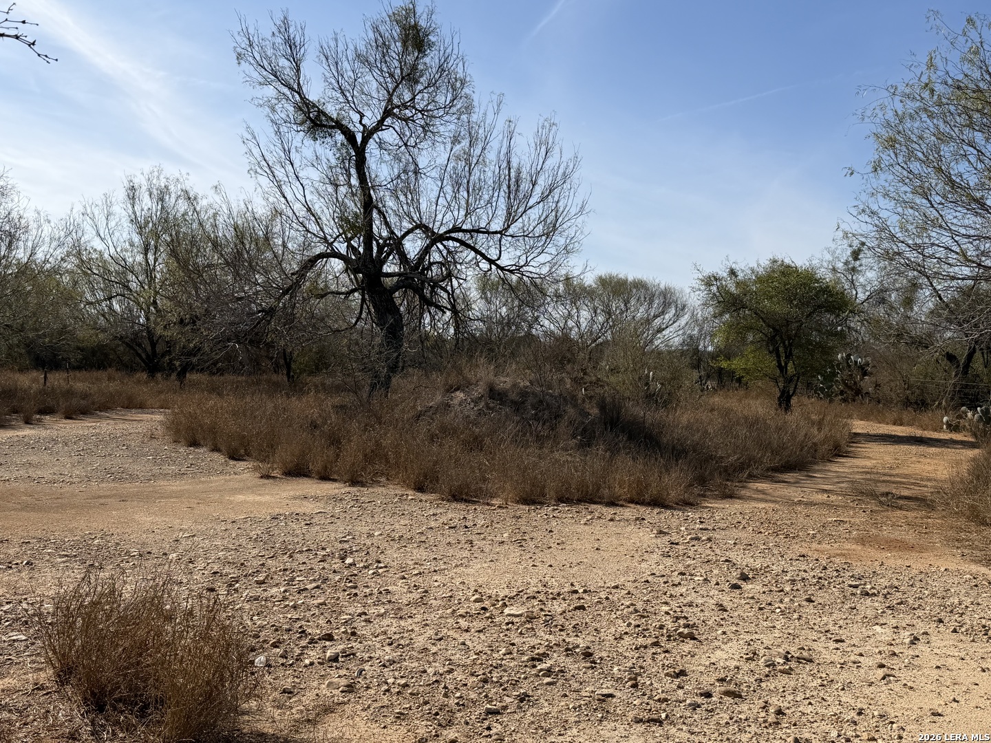 1160 W Highway 85 Dilley TX 78017