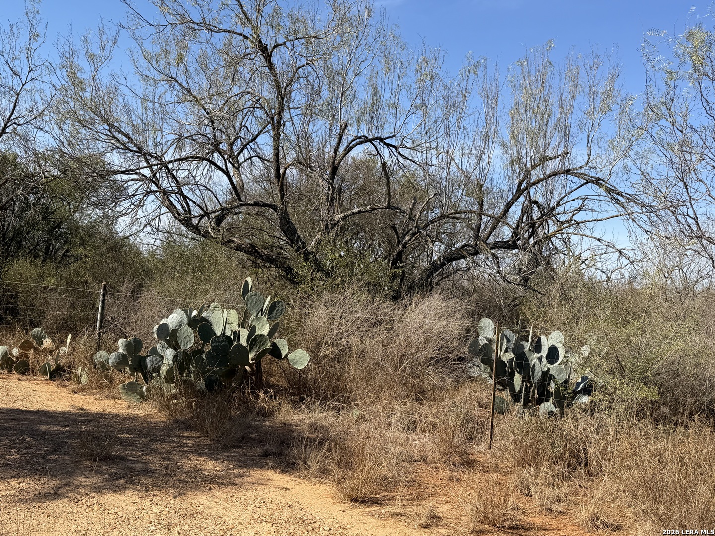 1160 W Highway 85 Dilley TX 78017