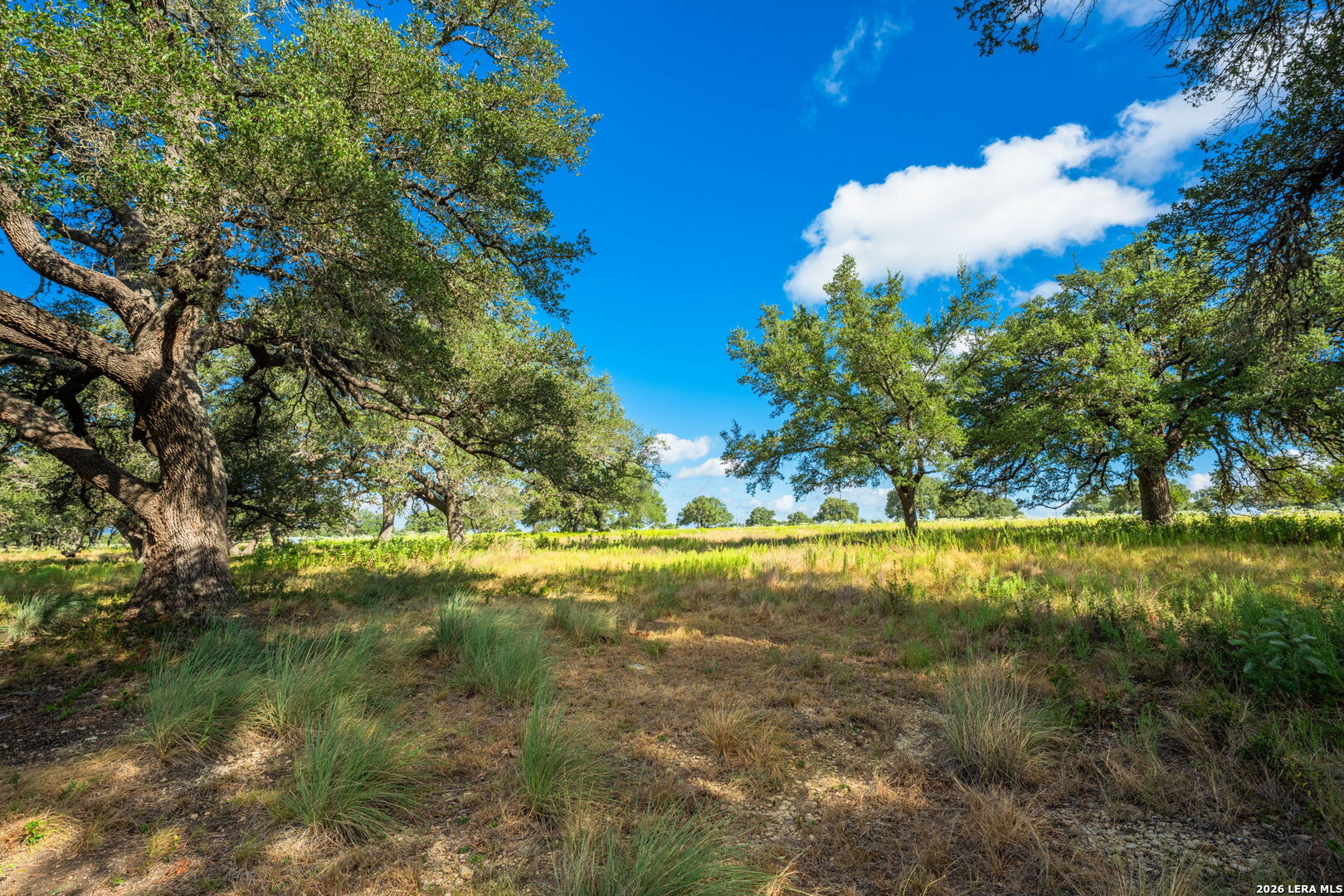 5541-A W Us Highway 290 Johnson City TX 78636