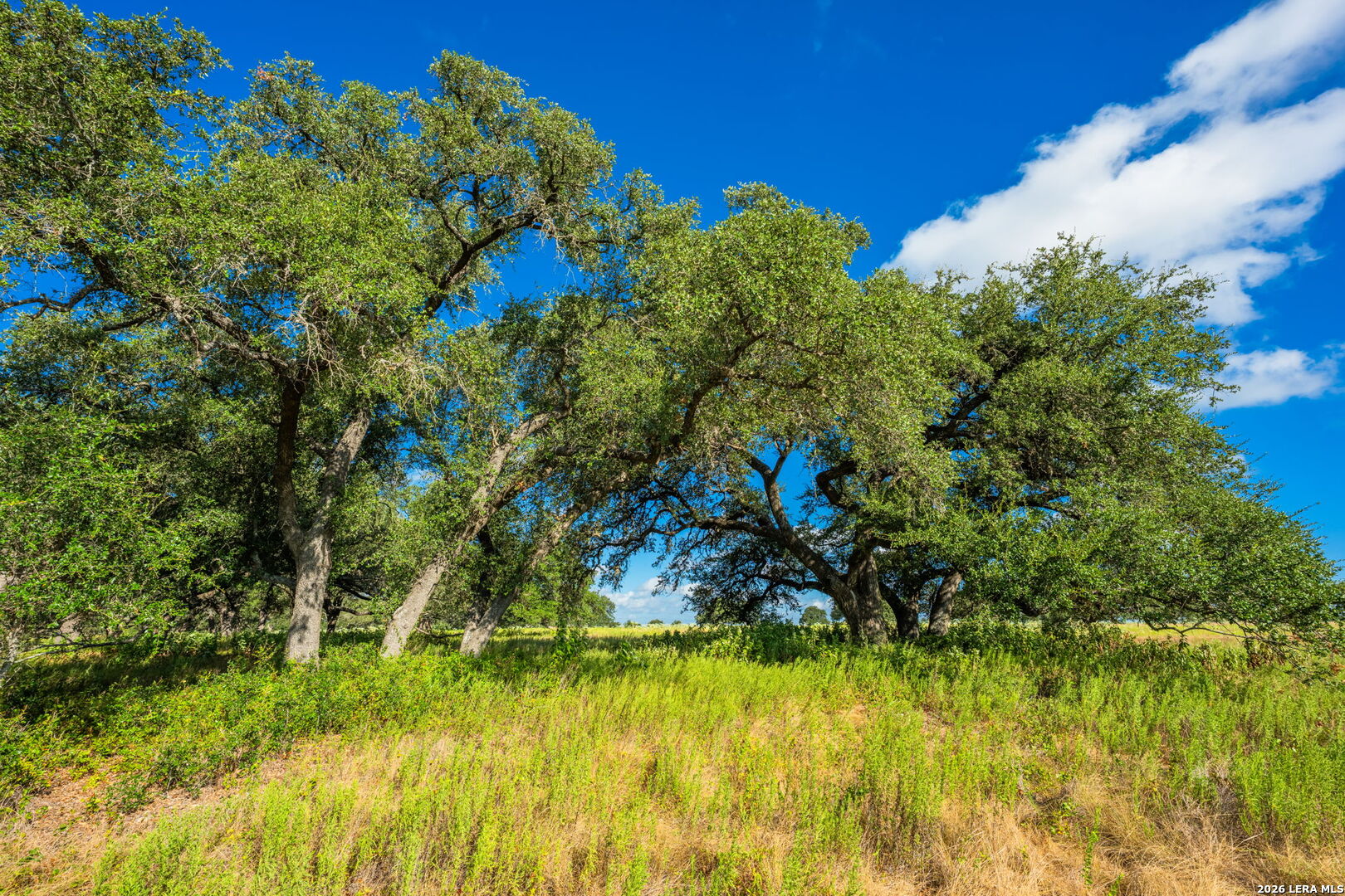 5541-A W Us Highway 290 Johnson City TX 78636