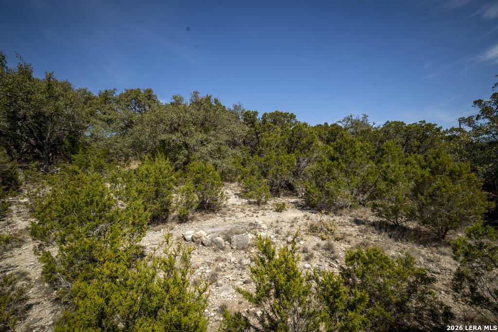 15300 State Highway 46 Spring Branch TX 78070