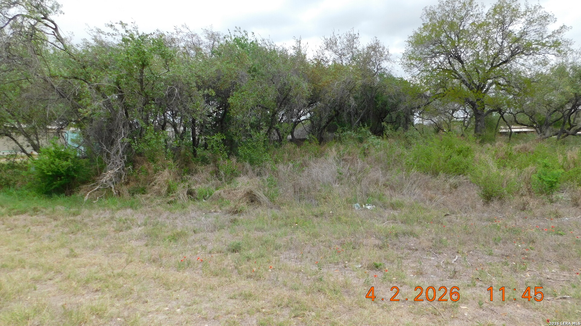 000 Highway 16 N State Highway 16 Poteet TX 78065