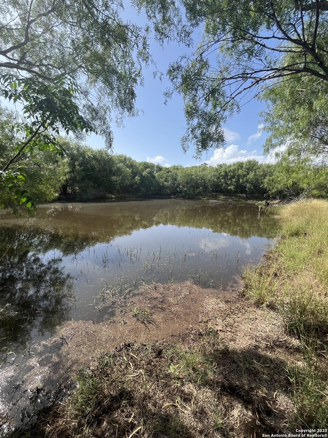 707 Deer Trail Jourdanton TX 78026