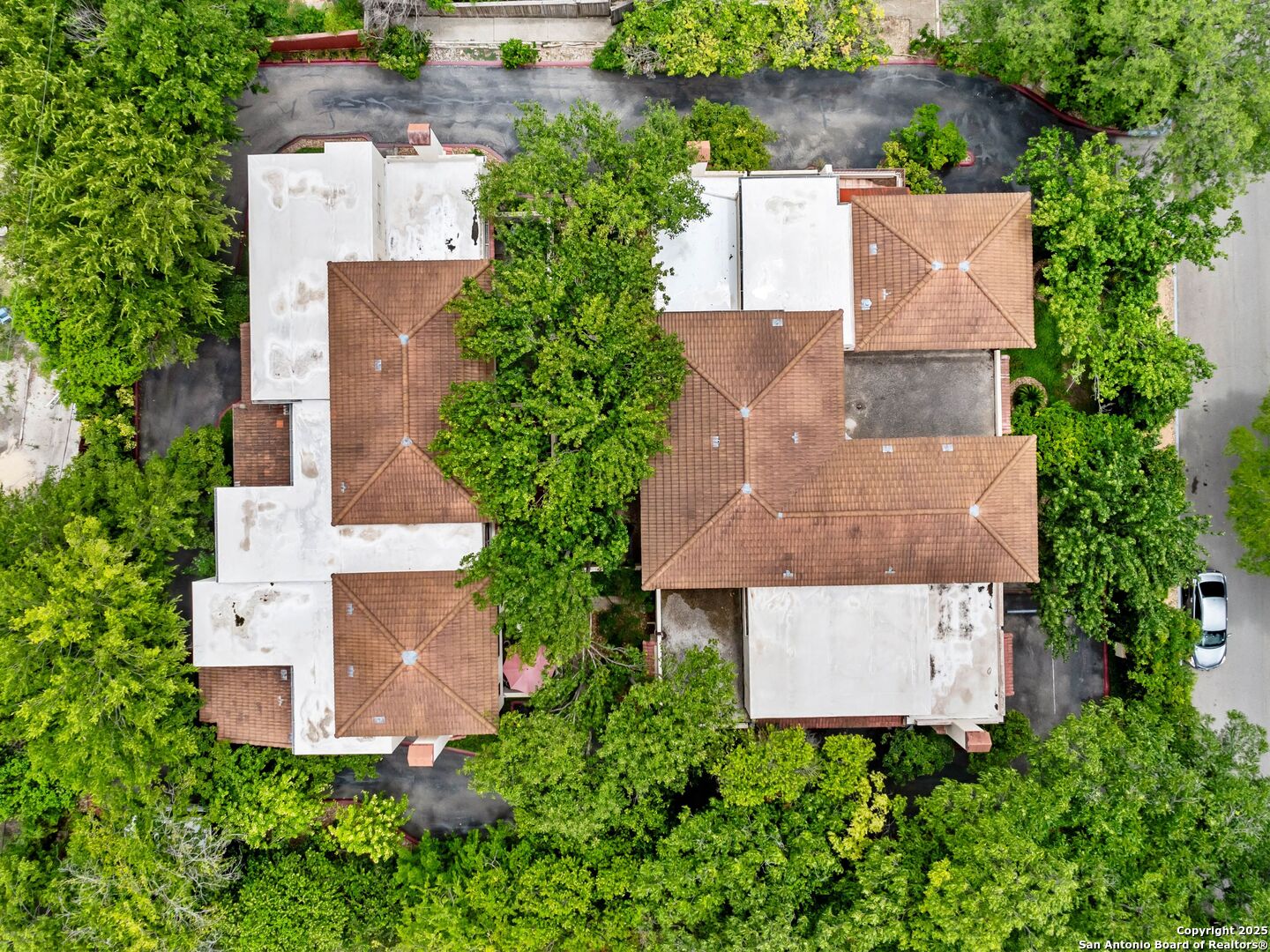 207 Grandview Alamo Heights TX 78209