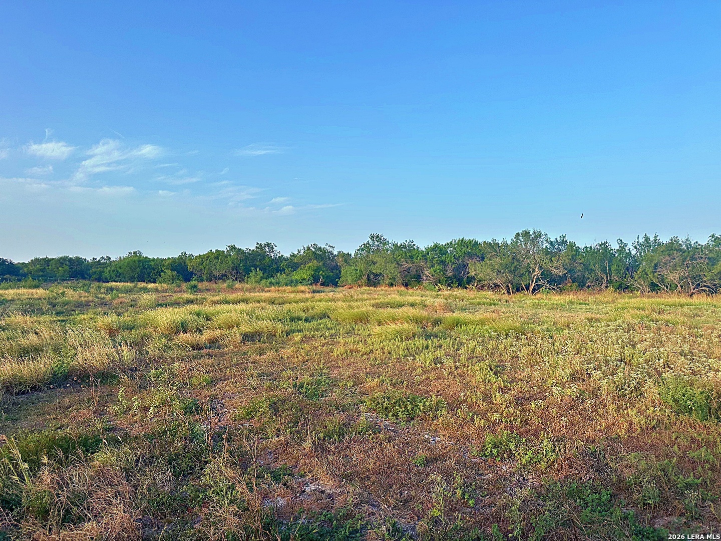 0001 Highway 72 Tilden TX 78072