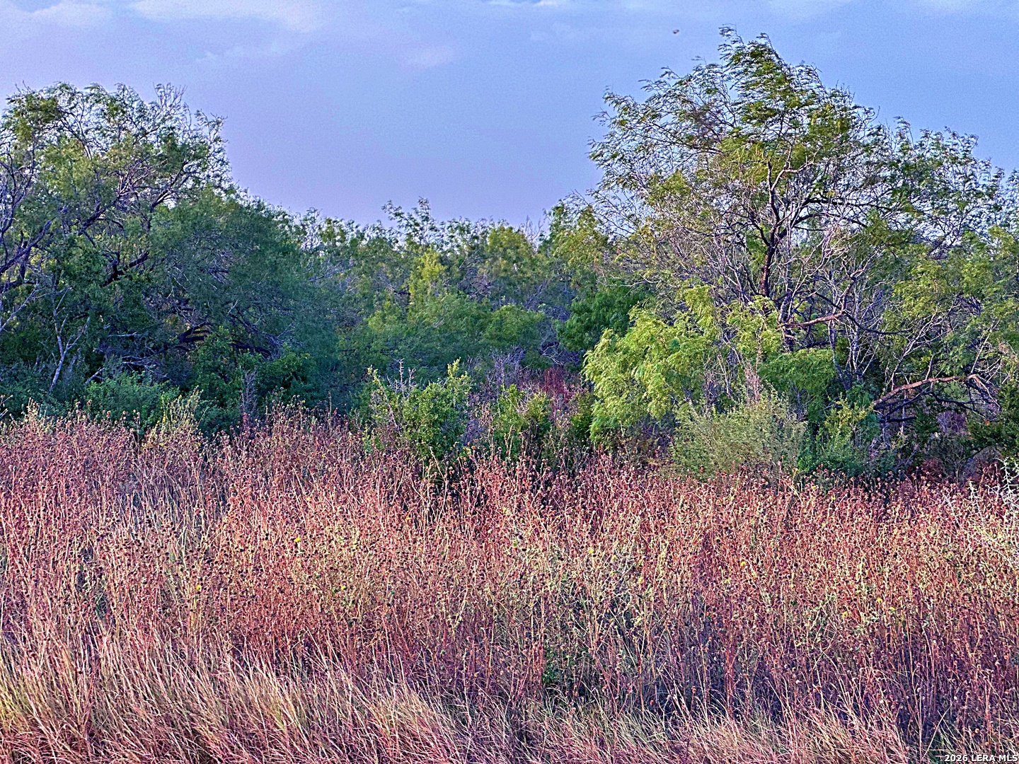 0001 Highway 72 Tilden TX 78072