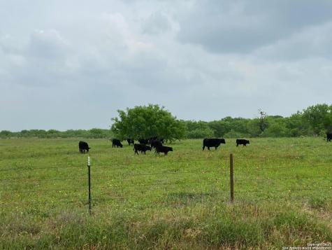 00 Applewhite Road San Antonio TX 78264