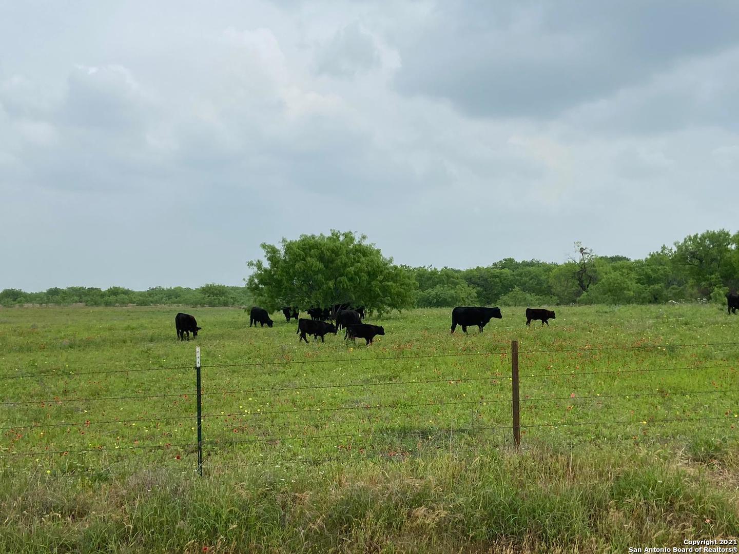 00 Applewhite Road San Antonio TX 78264