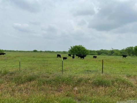 00 Applewhite Road San Antonio TX 78264