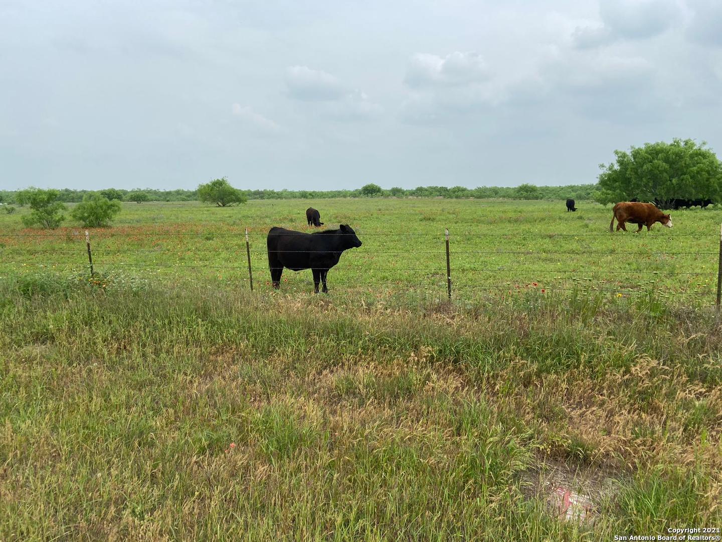 00 Applewhite Road San Antonio TX 78264