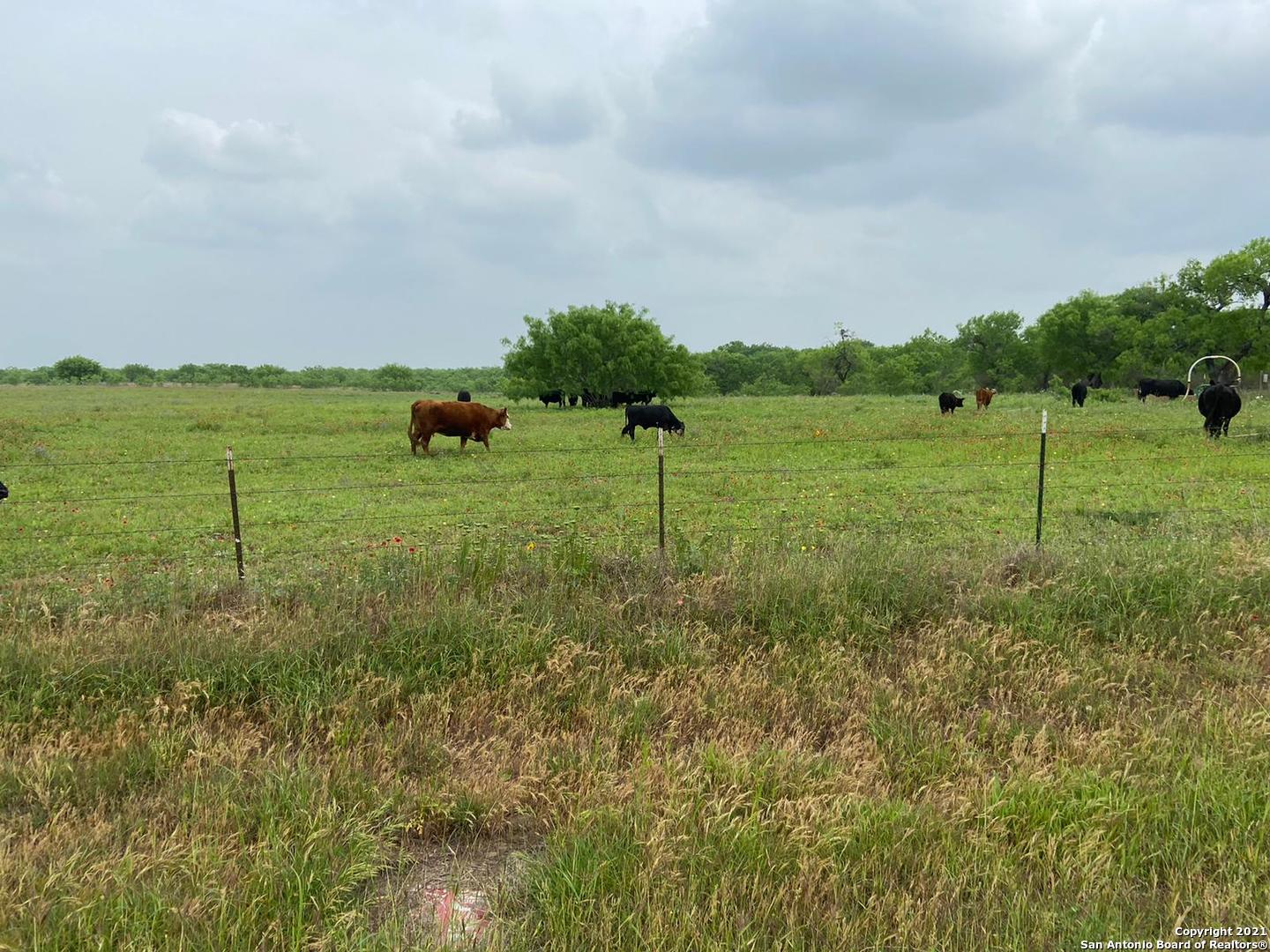 00 Applewhite Road San Antonio TX 78264