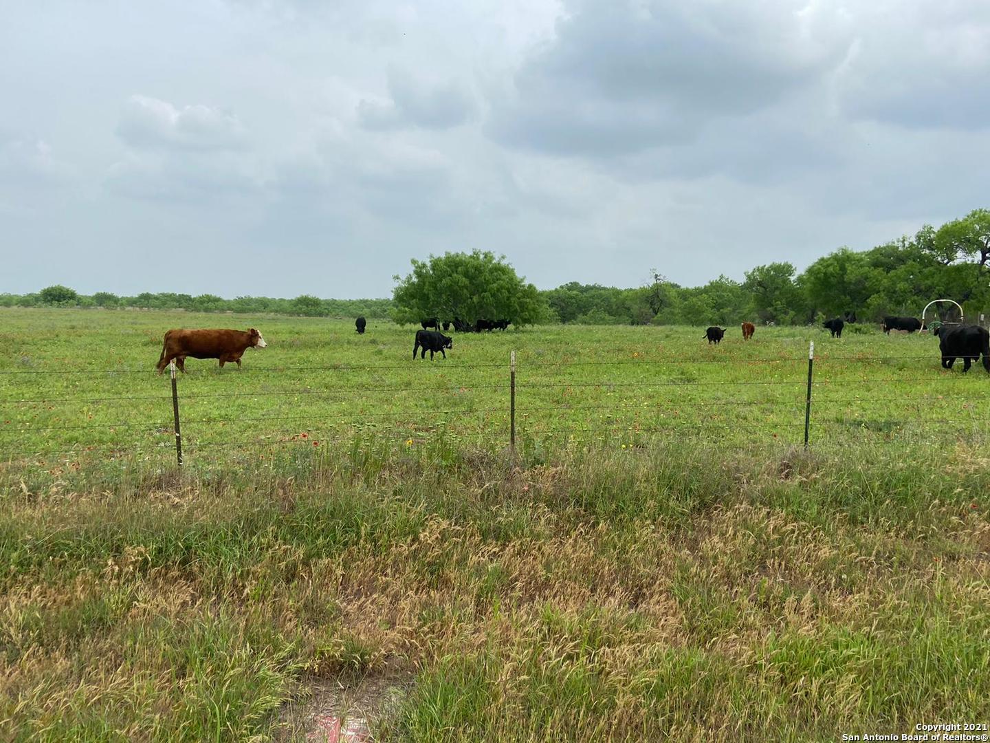 00 Applewhite Road San Antonio TX 78264