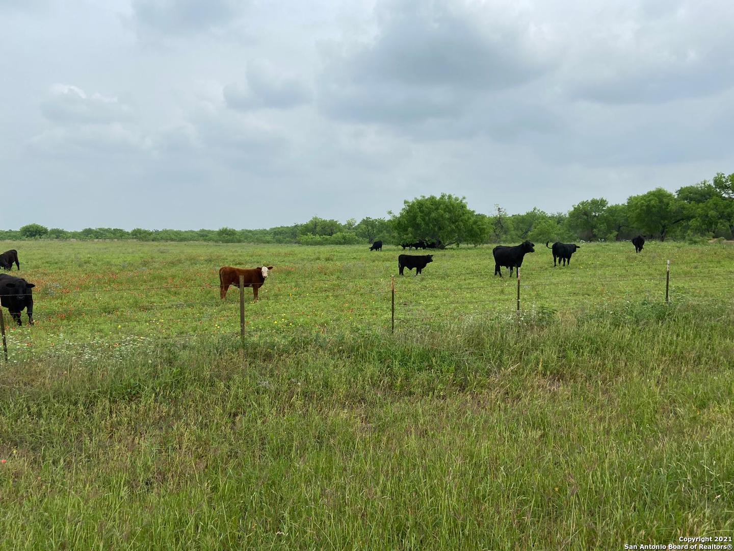 00 Applewhite Road San Antonio TX 78264