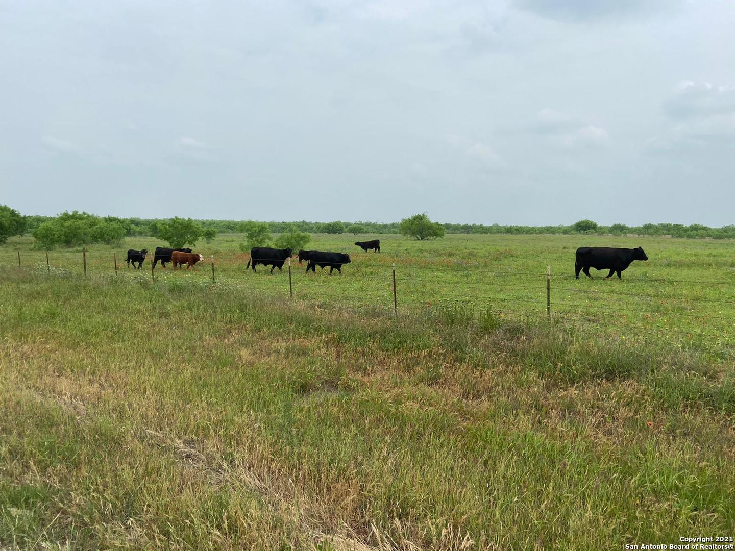 00 Applewhite Road San Antonio TX 78264