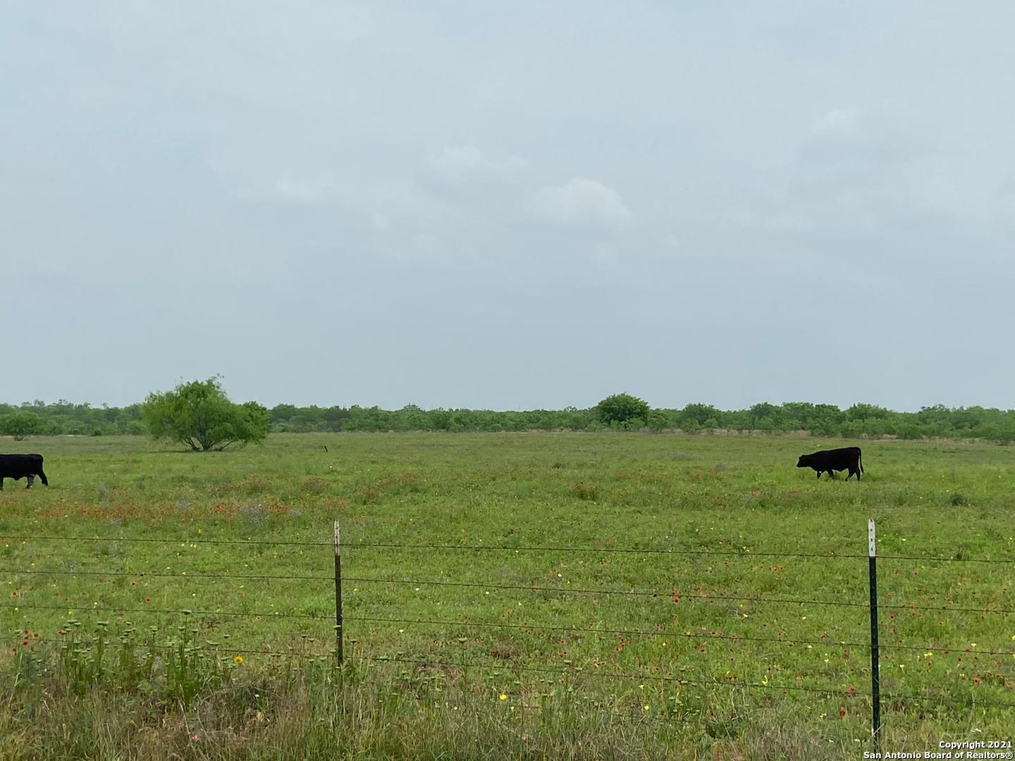 00 Applewhite Road San Antonio TX 78264