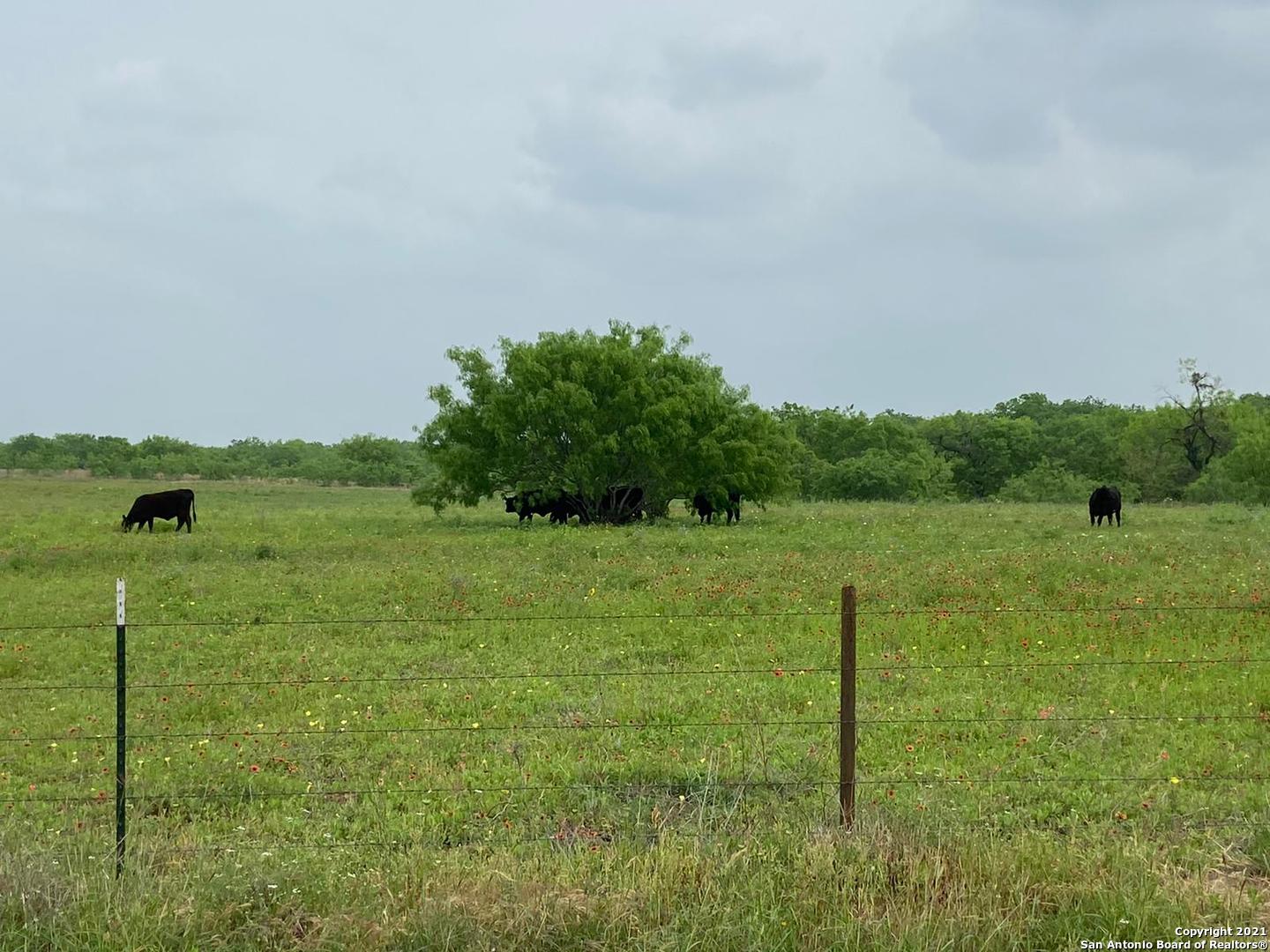 00 Applewhite Road San Antonio TX 78264