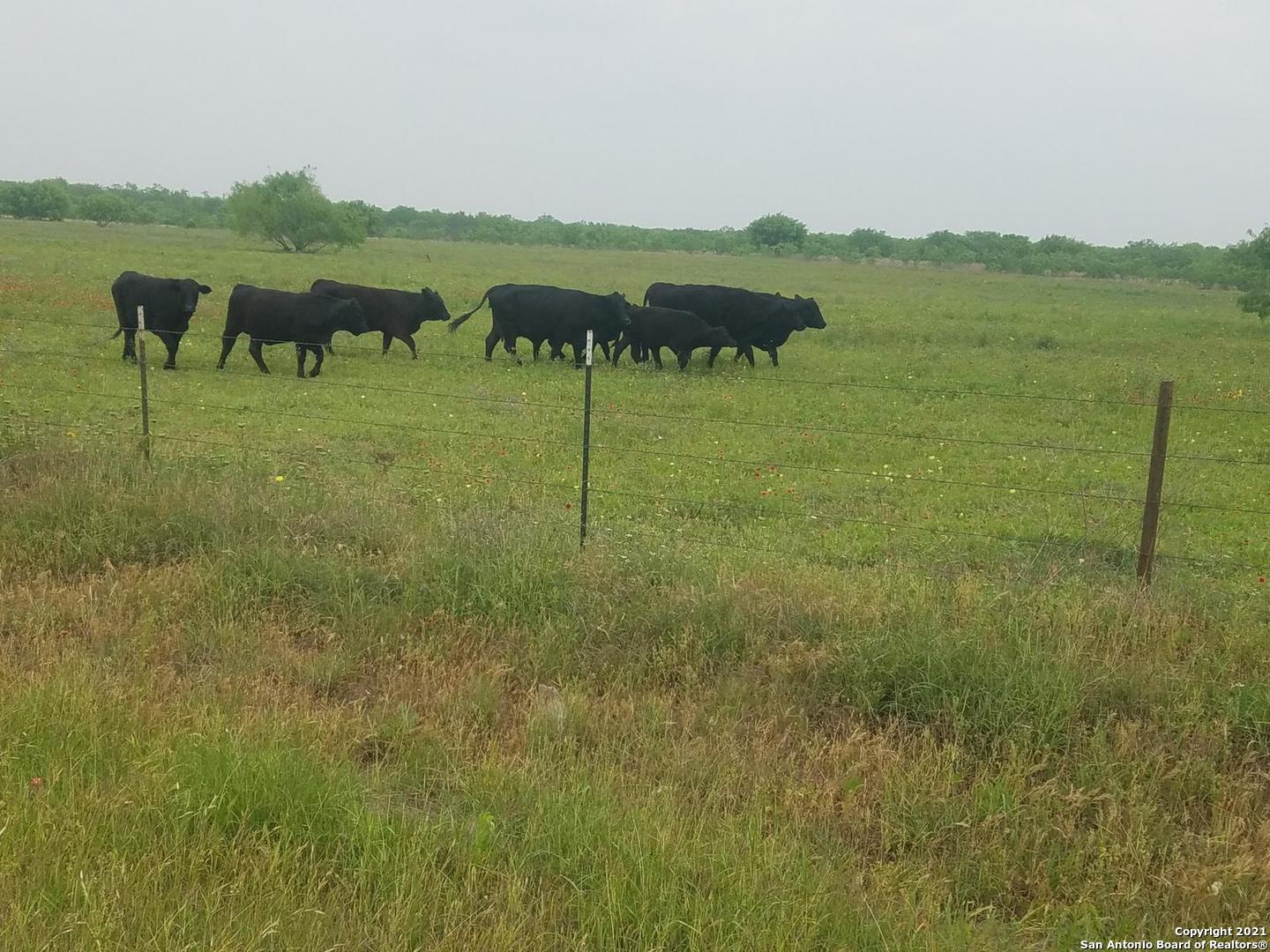 00 Applewhite Road San Antonio TX 78264