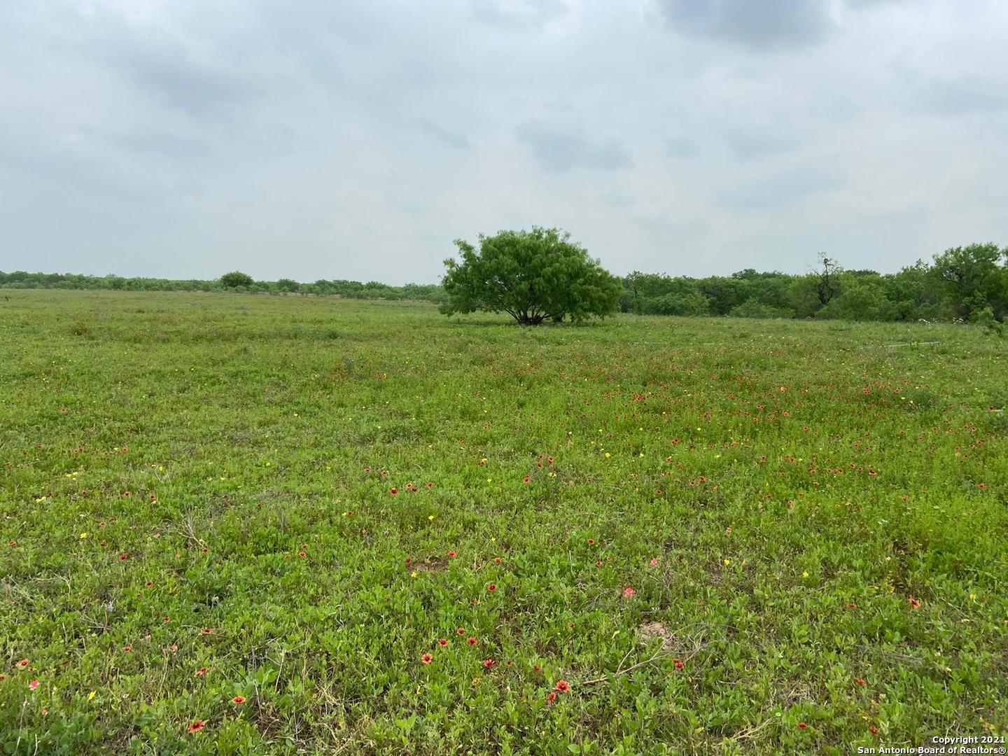 00 Applewhite Road San Antonio TX 78264