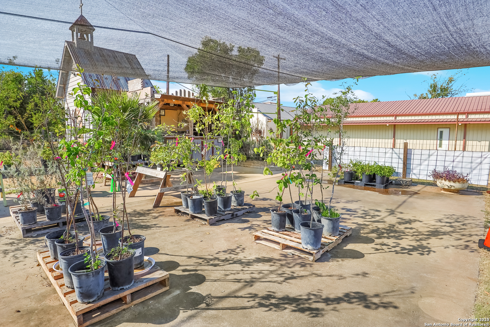 431 Avenue F Poteet TX 78065