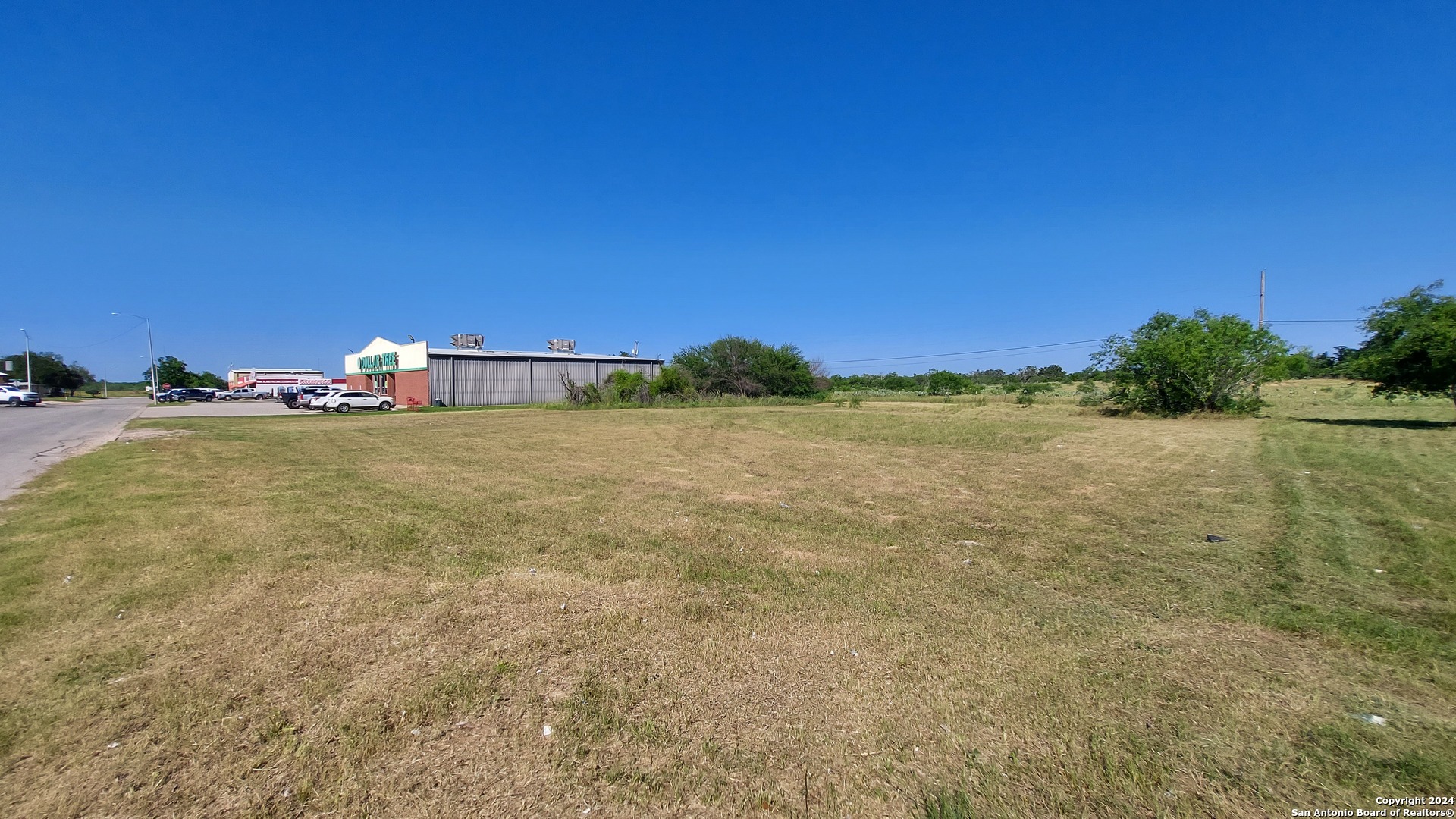 115 Dixon Drive Devine TX 78016